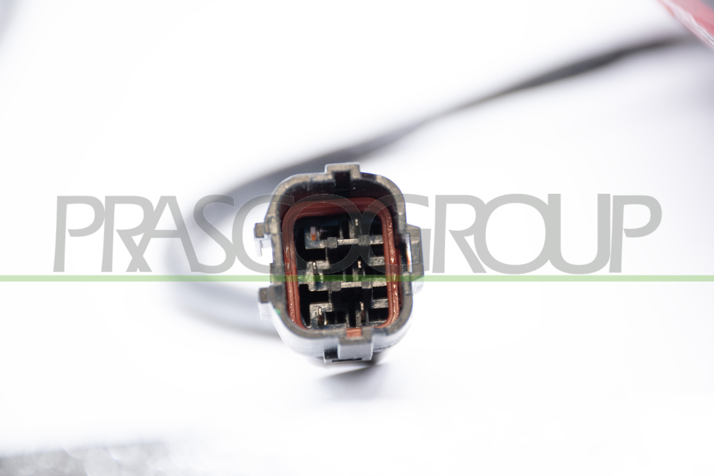 PILOTO TRASERO IZQUIERDO-CON CABLES (TIPO KIOTO) MOD. EUROPA