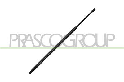 AMORTIGUADOR DE MALETERO DERECHO/IZQUIERDO PORTON TRASERO - 1050 N - L 700 mm - C 175 mm - Ø 22 mm - Ø 10 mm