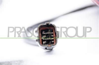 PILOTO TRASERO IZQUIERDO-CON CABLES (TIPO KIOTO) MOD. EUROPA