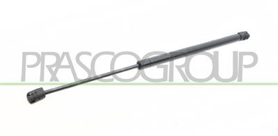 MOLLA A GAS DESTRA/SINISTRA PORTELLONE POSTERIORE - 330 N - L 495 mm - C 188 mm - Ø 18 mm - Ø 8 mm